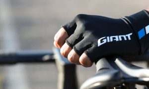 GLOVE